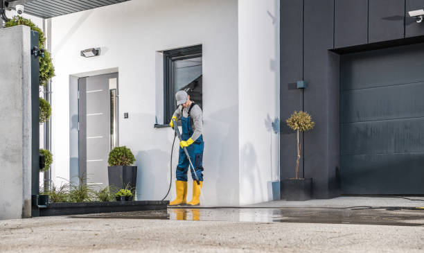 Best Roof Cleaning and Mildew Removal in Humboldt, IA